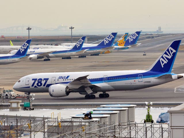 Japan's major airlines grounded their Boeing 787 planes for safety checks