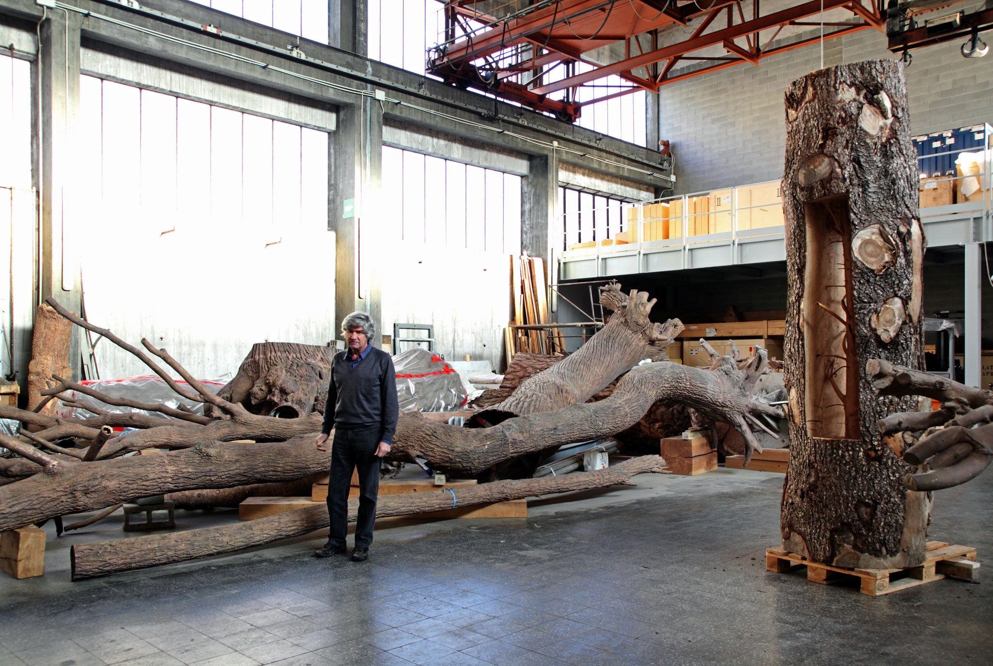 Special branch: Giuseppe Penone in his Turin studio