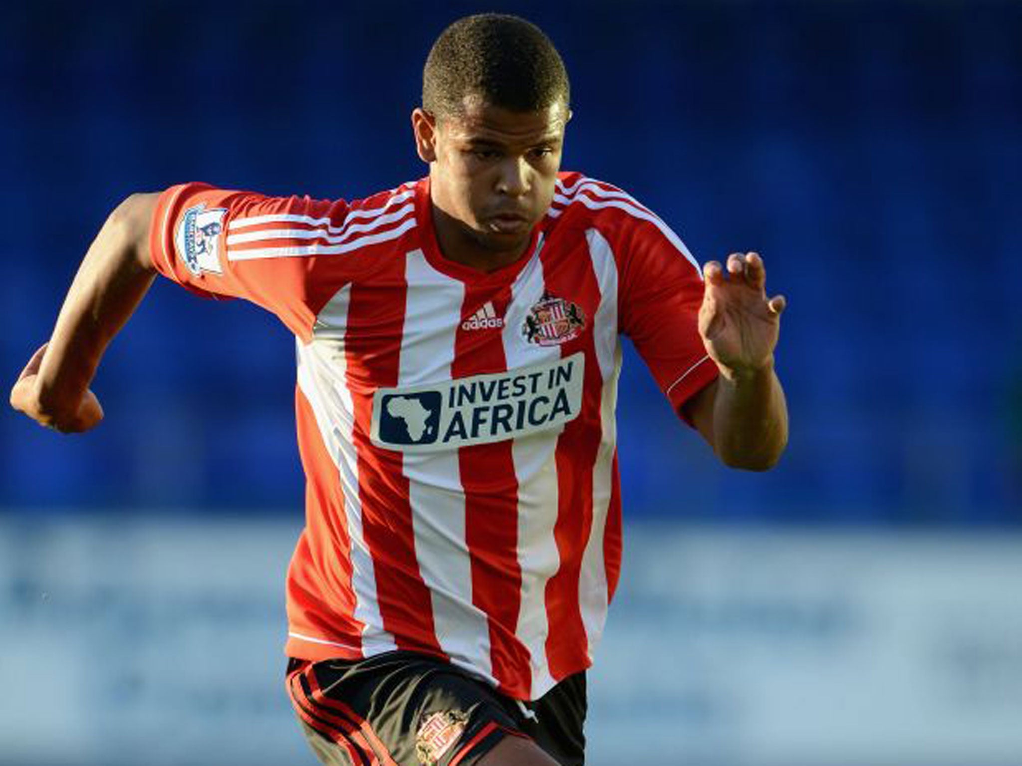 Sunderland’s Fraizer Campbell has been linked with Cardiff