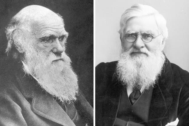 Science giants: Wallace, right, sent his theories on evolution to Darwin, left