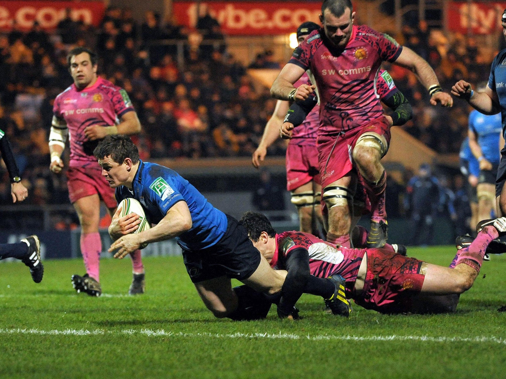Over he goes: Brian O’Driscoll scores the third of Leinster’s four tries against Exeter – his 32nd in 82 Heineken Cup appearances