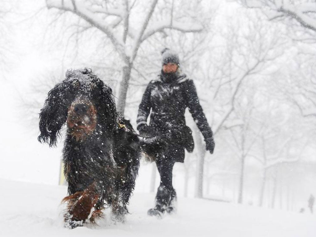 A woman walks with her dog during a blizzard in Stockholm