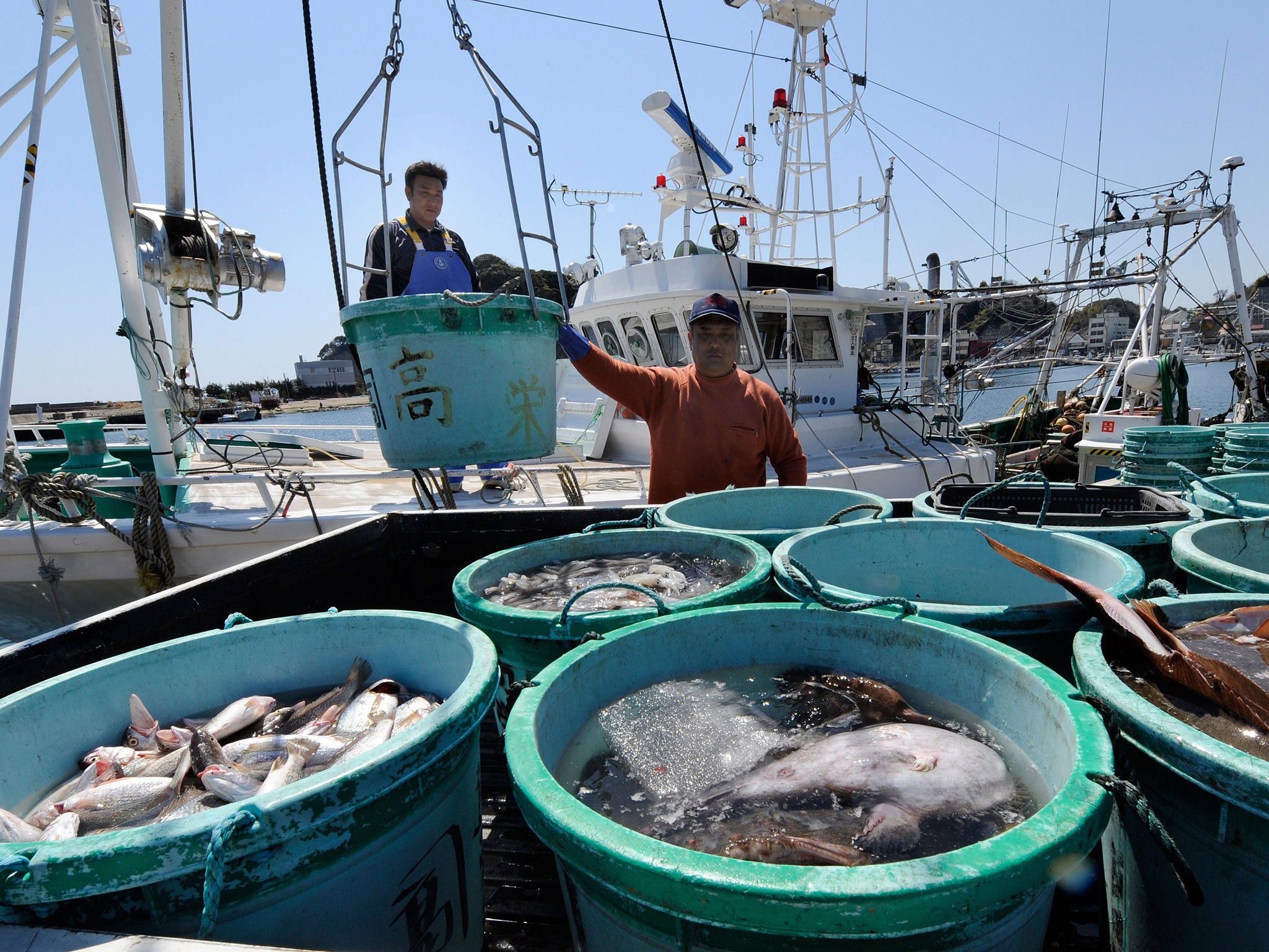 Fishermen unloading their catch at the Hirakata fish market in Kitaibaraki, Ibaraki prefecture, south of the Fukushima daiichi nuclear power plant number 1