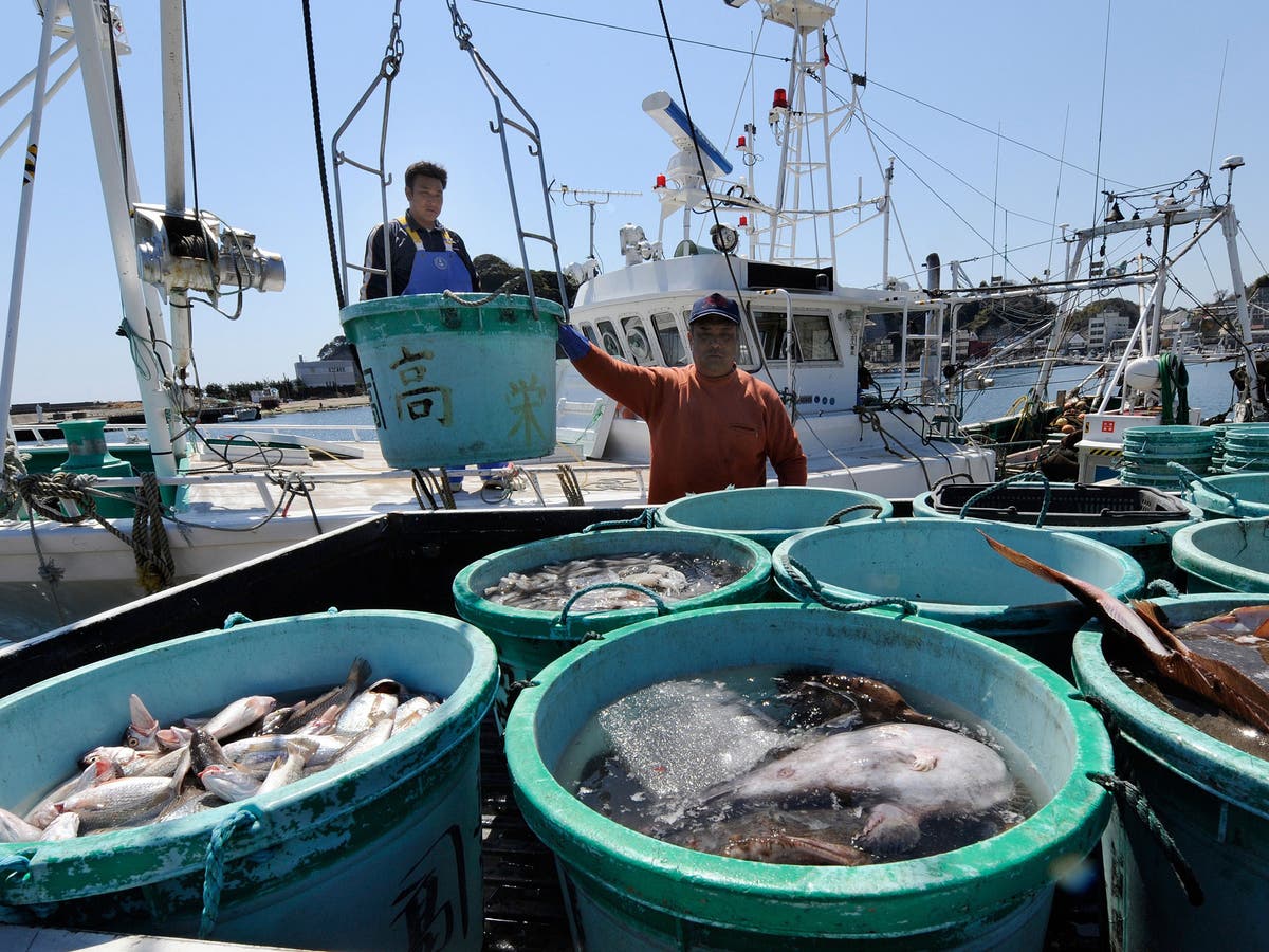 Морской промысел рыб. Рыболовство в Корее. Рыбный промысел в Кореи. Рыболовство Южной Кореи в Южной Корее. Южная Корея сельское хозяйство рыболовство.