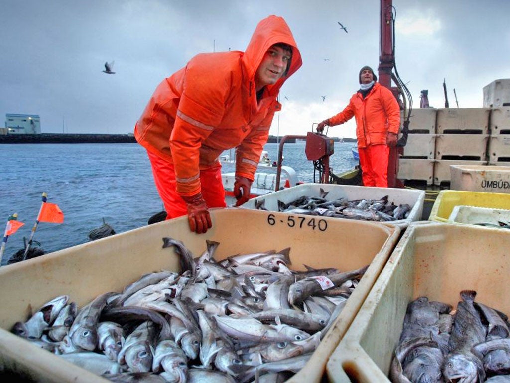 The mackerel fish has joined the likes of North Sea turbot and most sea bass on the “caution” list of species people should buy only occasionally