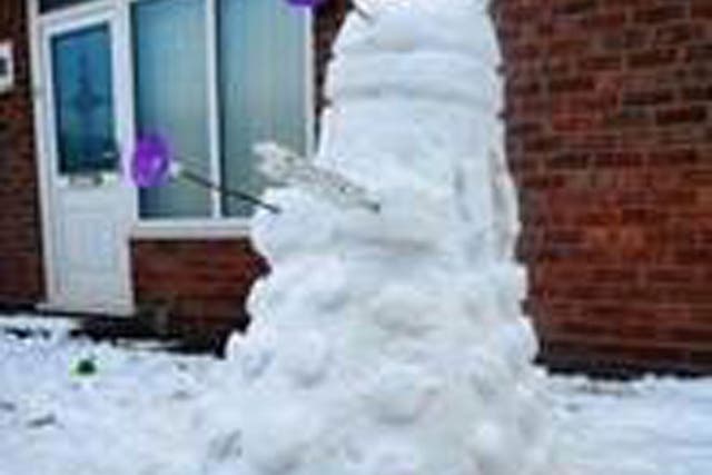 Snow Dalek - Every feeling removed except for hating +0° weather
