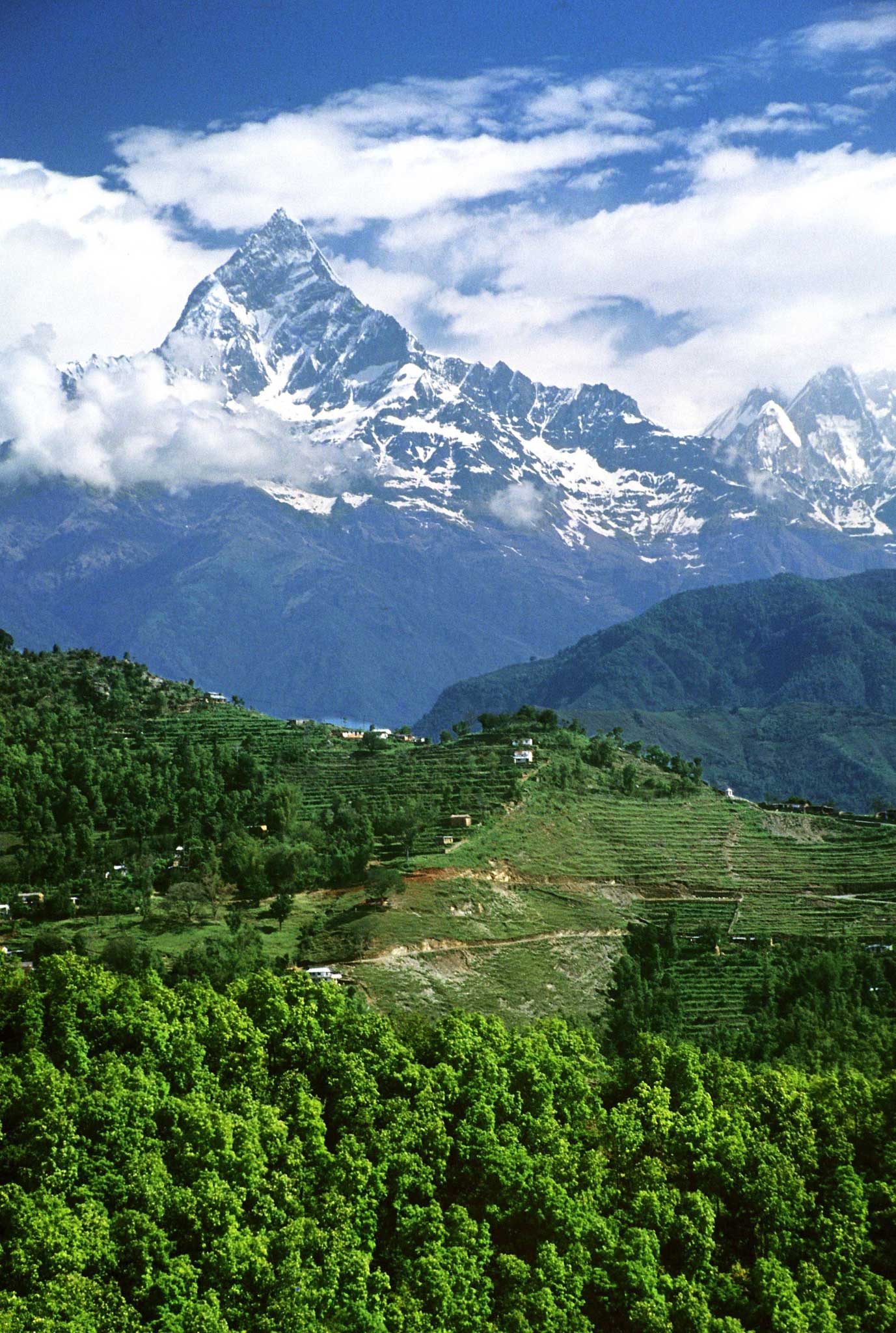 Khangchendzonga is the third-highest mountain in the world, and sacred to the Buddhists