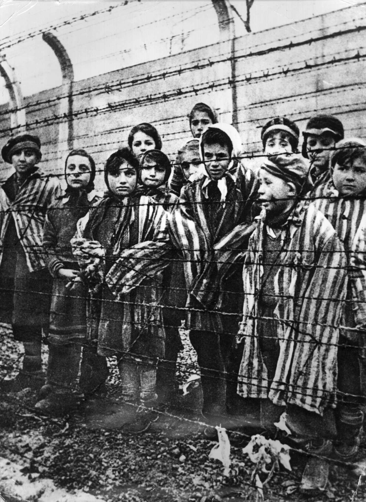A voice from behind the wire: Auschwitz
