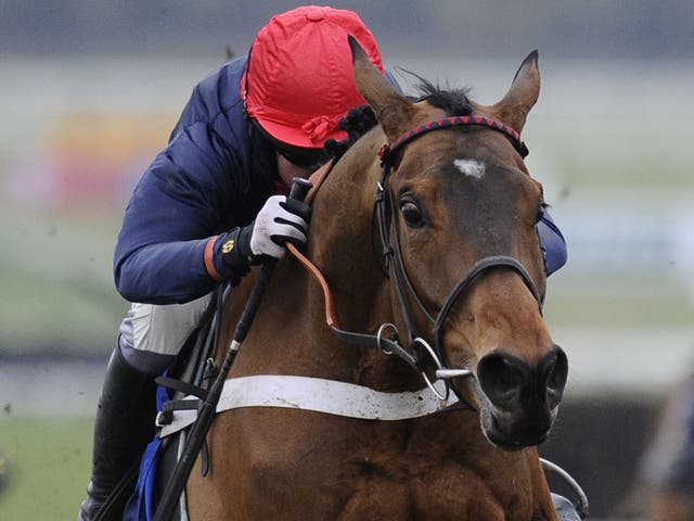 Bobs Worth will not race again before the Cheltenham Gold Cup