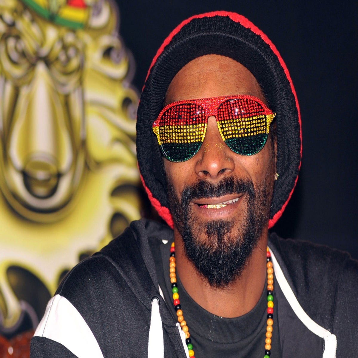Snoop Dogg was 'banned' from becoming a Rastafarian after his Snoop Lion  disaster