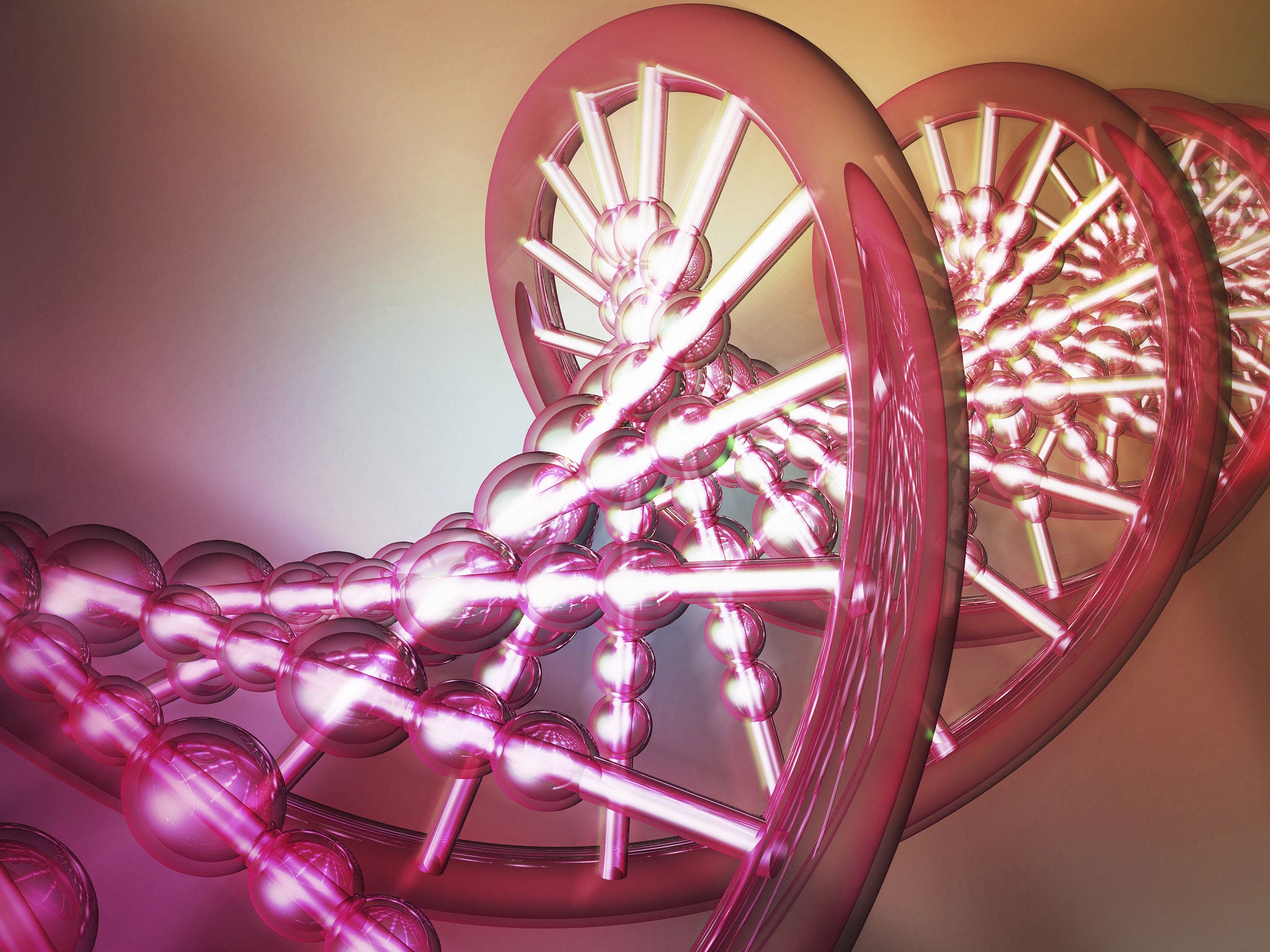 Modern approaches to cancer therapy are based on diagnosing the disease at the level of the DNA. Drugs, such as Herceptin,
can then be targeted at those patients with a particular genetic profile. This can produce better results as well as eliminating
unnecessary therapy in patients who would otherwise not respond to treatment