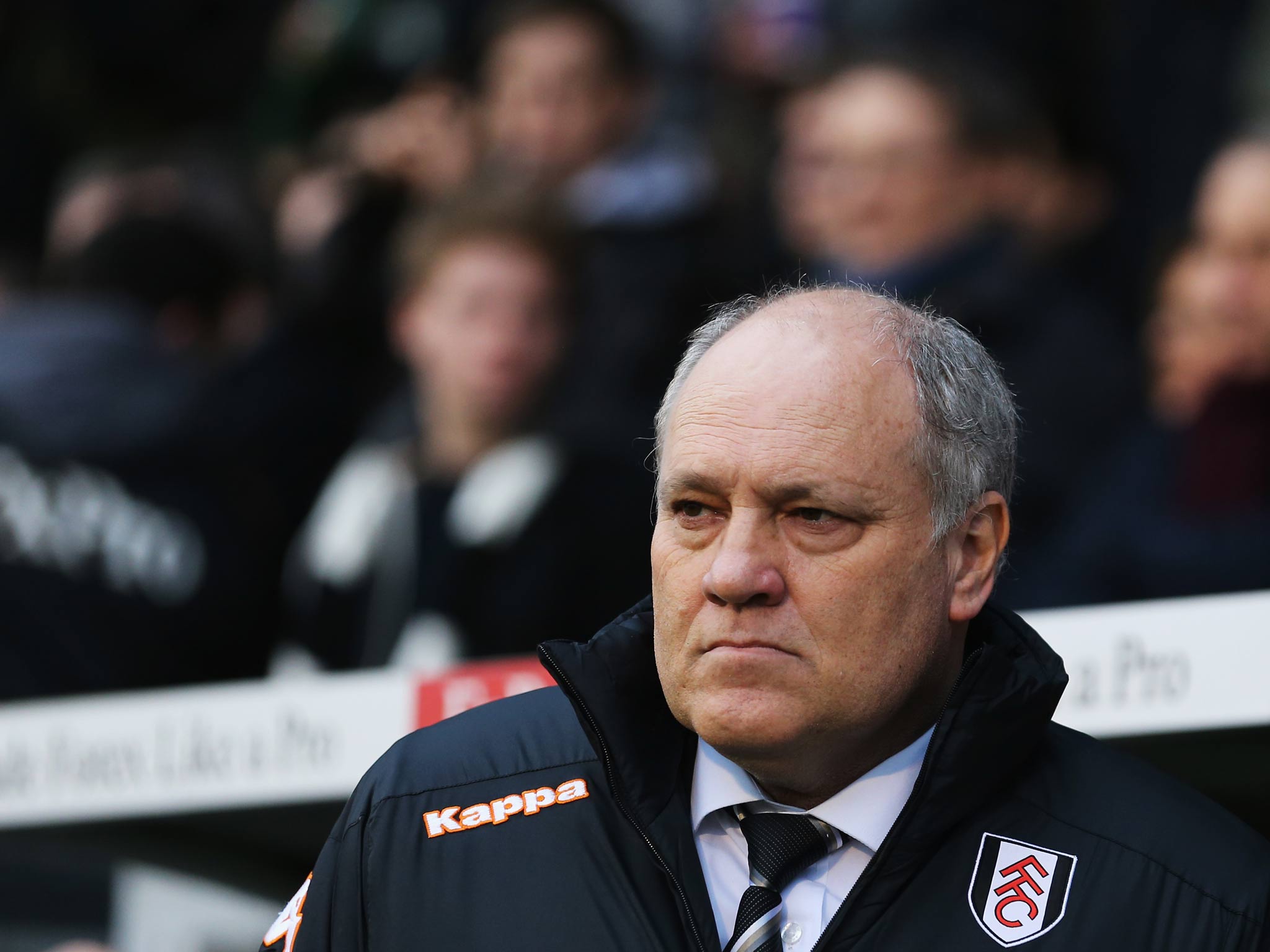 Martin Jol targets Premier League run with Fulham following Capital One ...