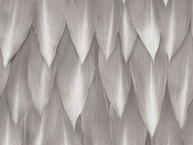 GO WILD: Animal inspired finishes are all the vogue. ?34.95/roll, galeriewallcoverings.com