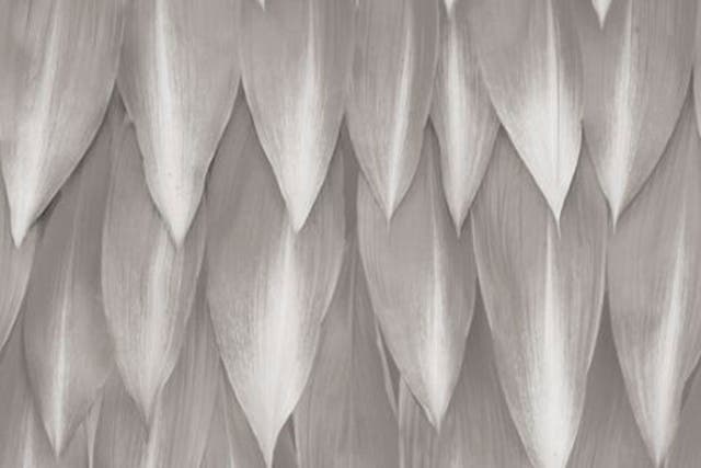 GO WILD: Animal inspired finishes are all the vogue. £34.95/roll, galeriewallcoverings.com