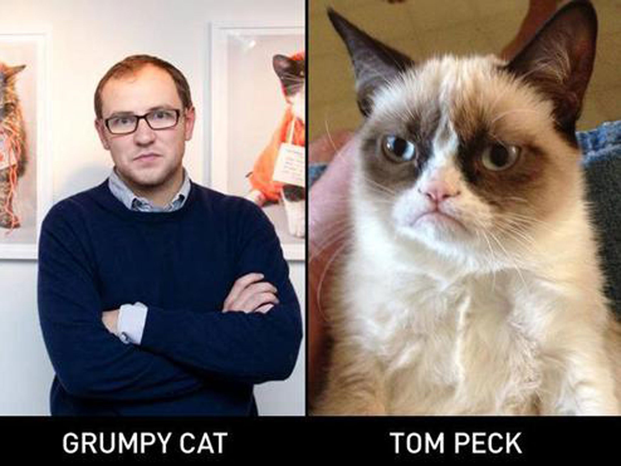 Independent reporter Tom Peck and a Grumpy Cat. But which is which?