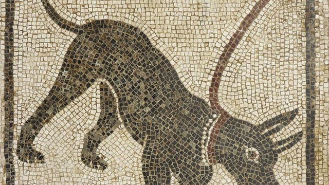 Life and death in Pompeii and Herculaneum – British Museum: Priceless treasures from the cities destroyed by the Mount Vesuvius
eruption will aim to satisfy the international fascination with the disaster when screened on 18 June