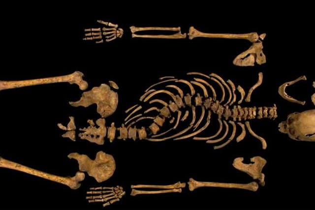King Richard III's complete skeleton