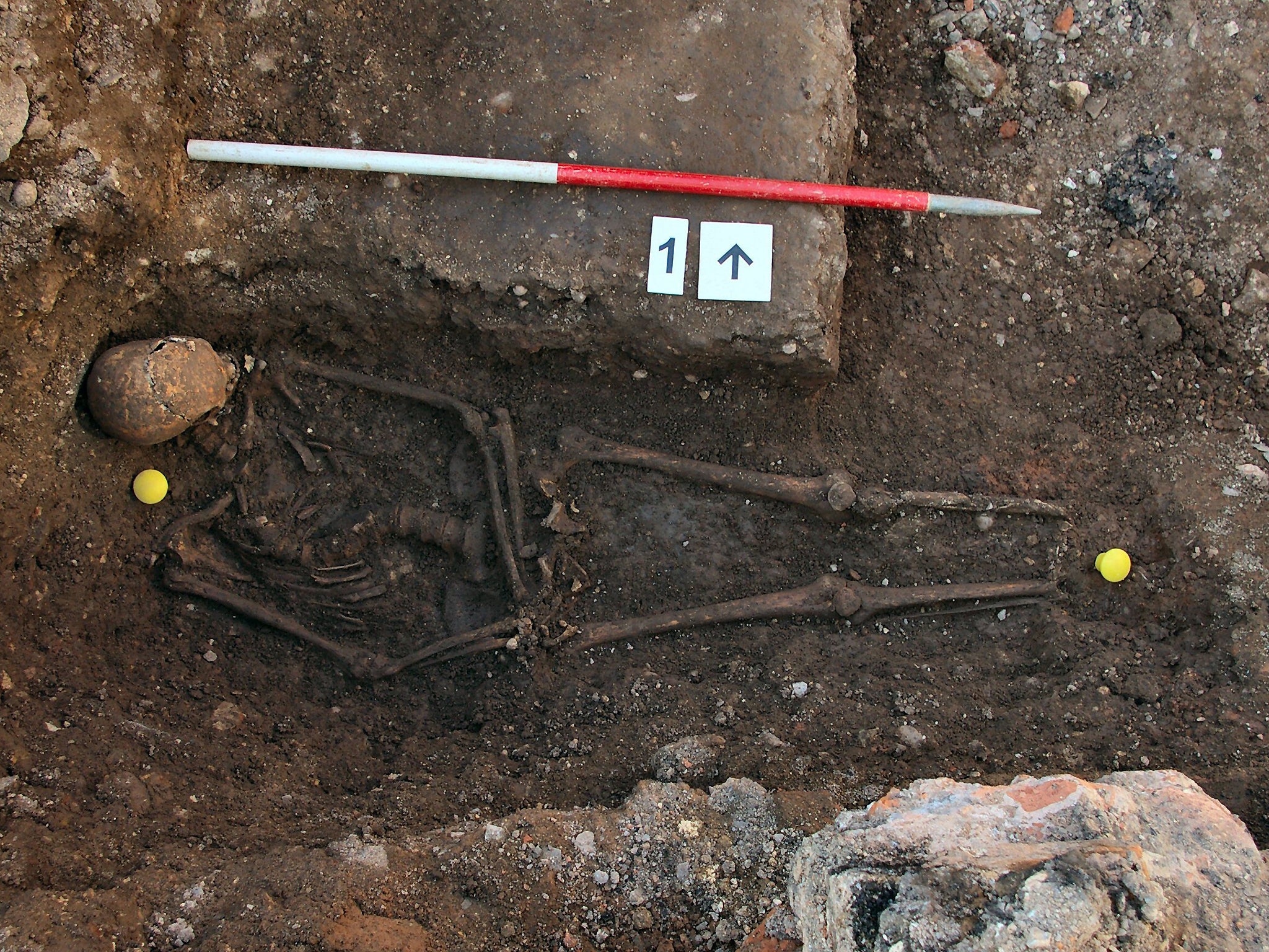 Remains found in trench one of the Grey Friars dig