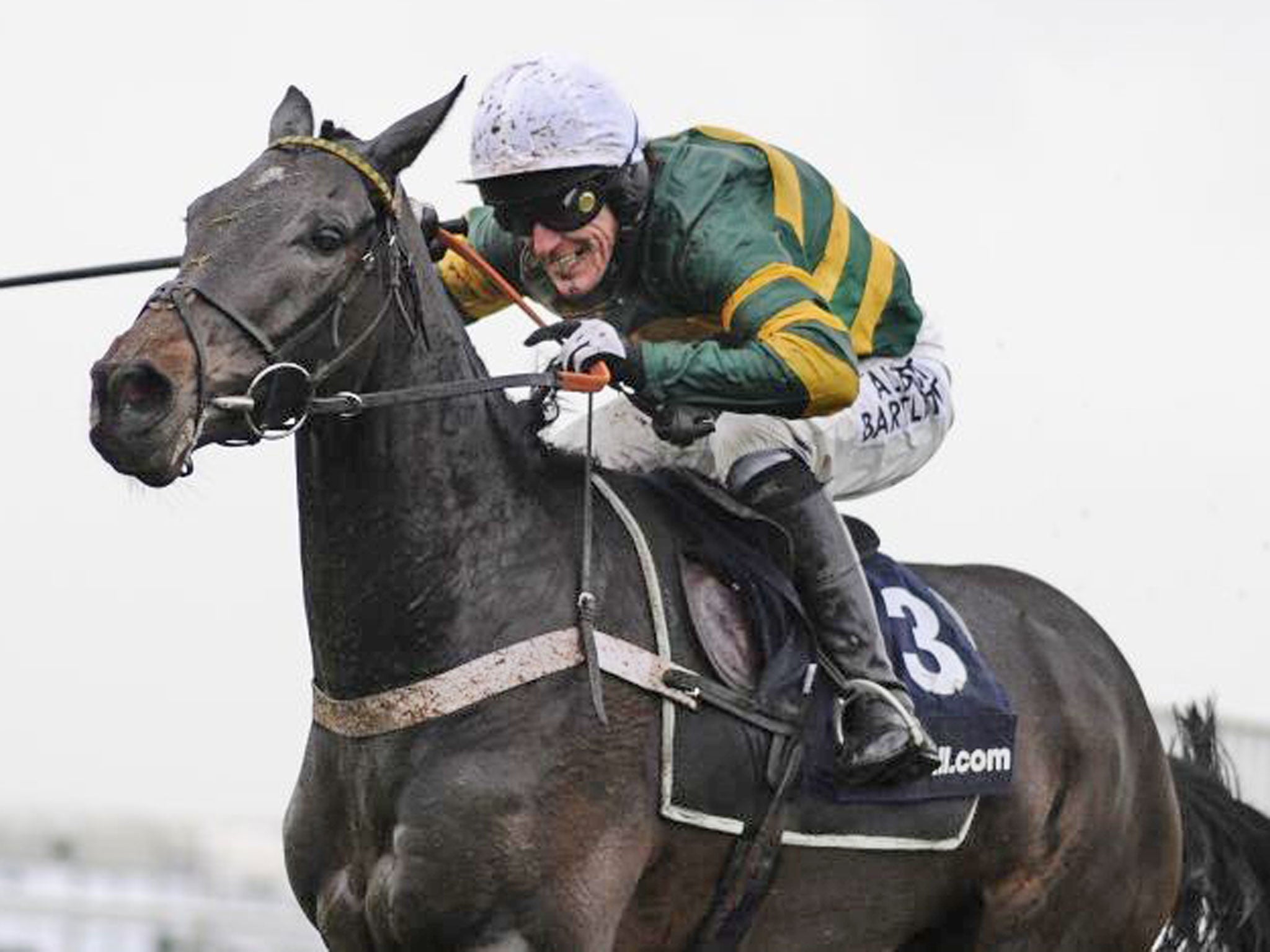 Tony McCoy gave up his other mounts after Darlan’s fall