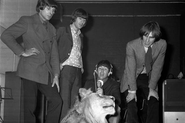 The Troggs (from left to right) Peter Staples, Ronnie Bond, Reg Presley and Chris Britton using a real lion called Marquess to provide suitable noise during the recording of their single The Lion