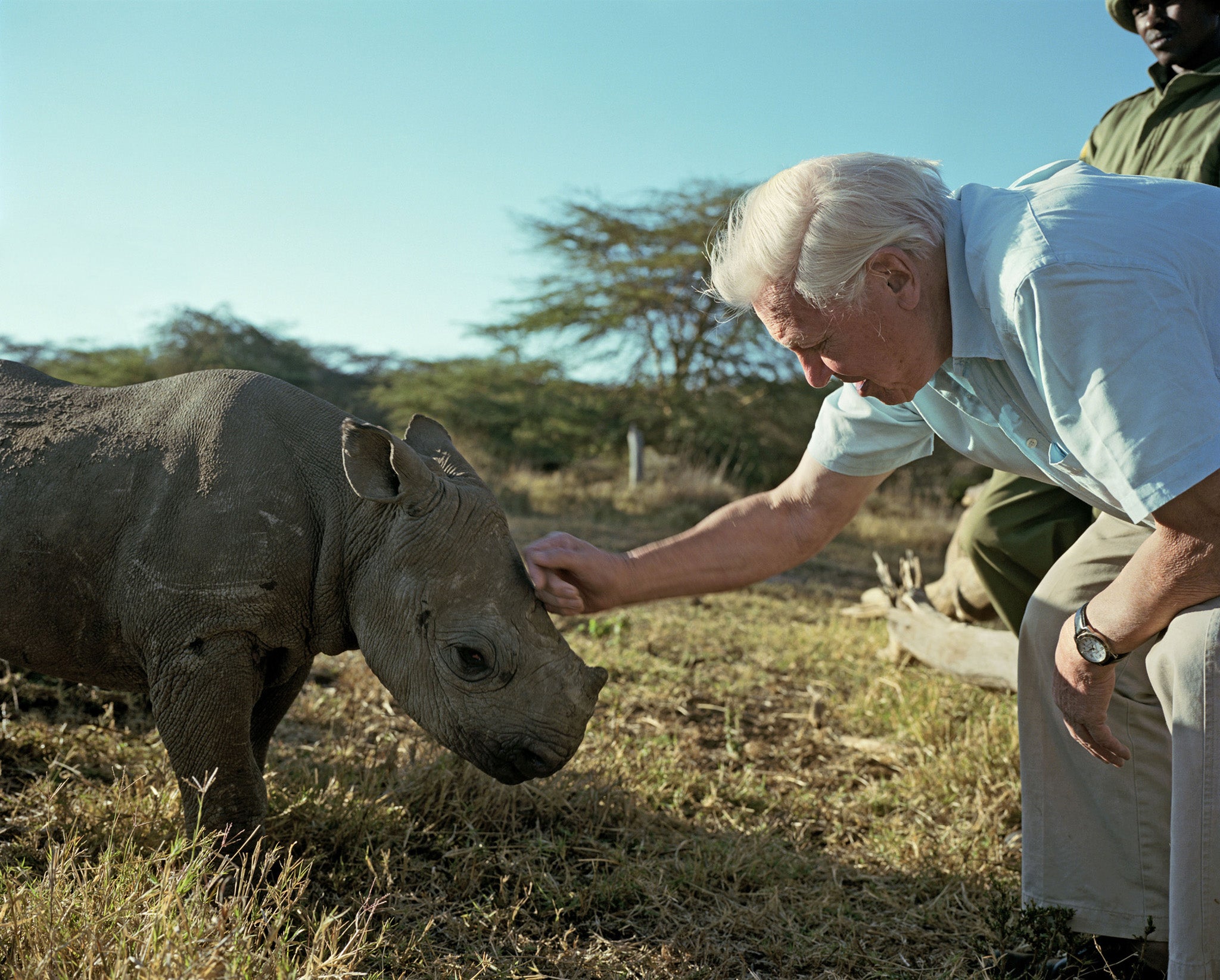 Sir David Attenborough meets a three month old blind black rhino at Lewa Wildlife Conservancy, Kenya.