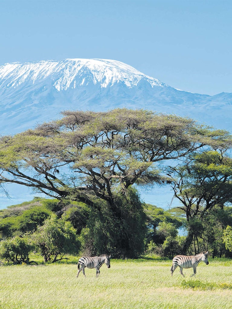 Tackling a climb of Mount Kilimanjaro poses a management challenge of a very different stripe