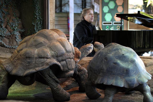 Richard Clayderman plays to the reptiles in the hope of getting them in the mood