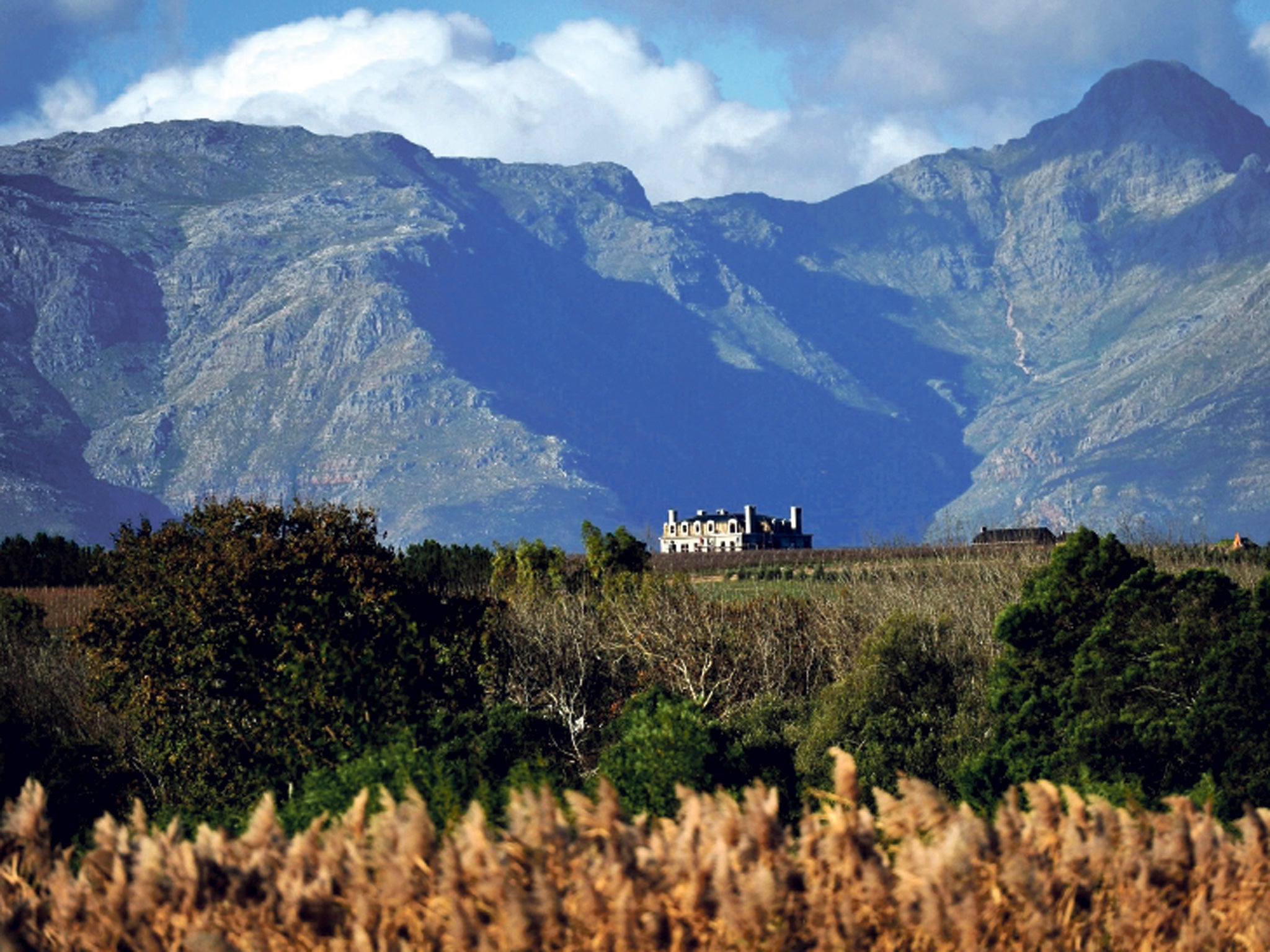 Vintage view: the winelands of Stellenbosch in South Africa