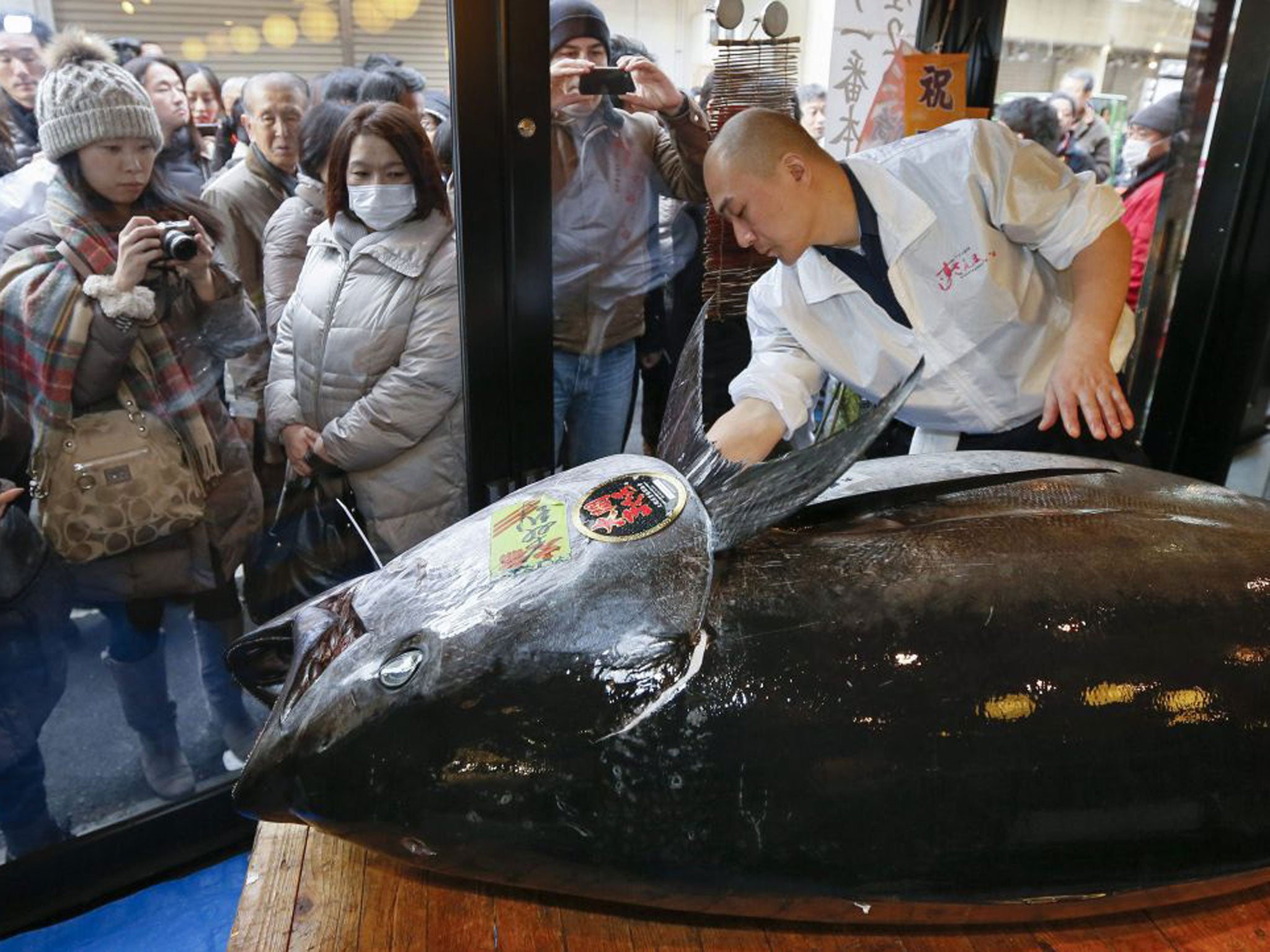 A Sushi Zanmai staff member polishes the 222kg tuna at Tsukiji market in Tokyo