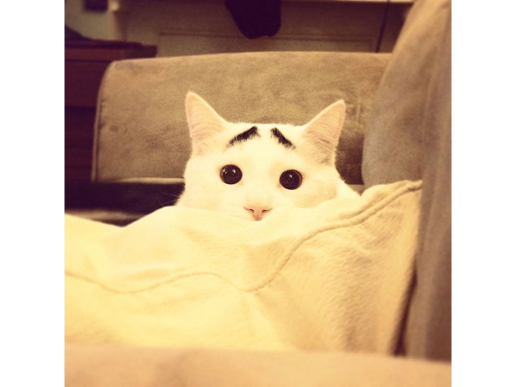 Sam is worried you might have heard him creeping up on you