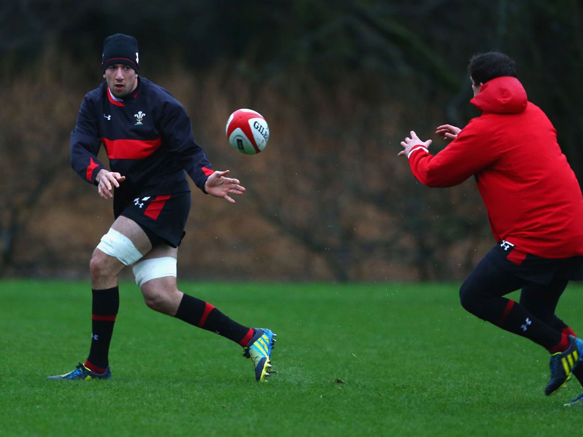 Justin Tipuric has been described as a potential Lion in waiting