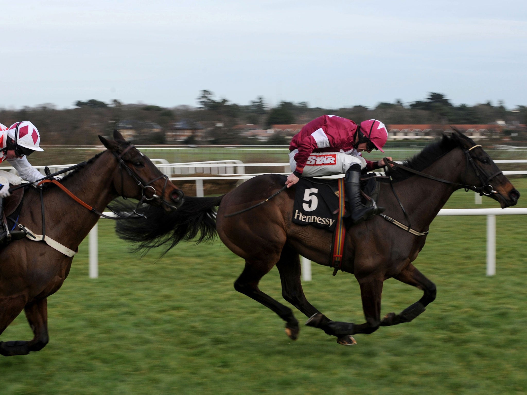 Gold standard: Sir Des Champs (right), ridden by Davy Russell, races clear of Andrew Lynch on Flemenstar to win the Hennessy Gold Cup at Leopardstown