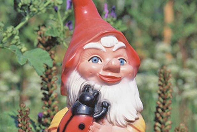 The garden gnome