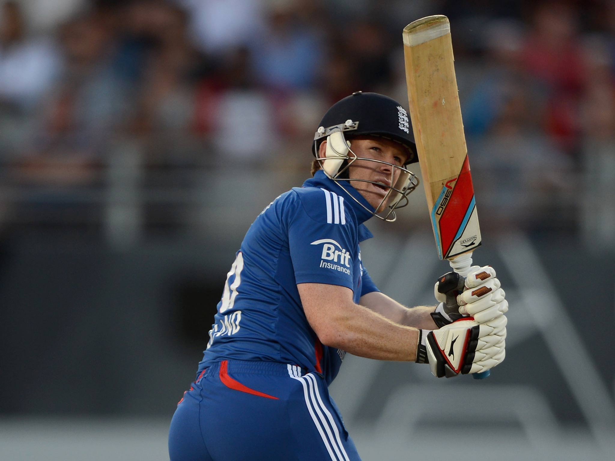 Eoin Morgan is involved in this year's IPL