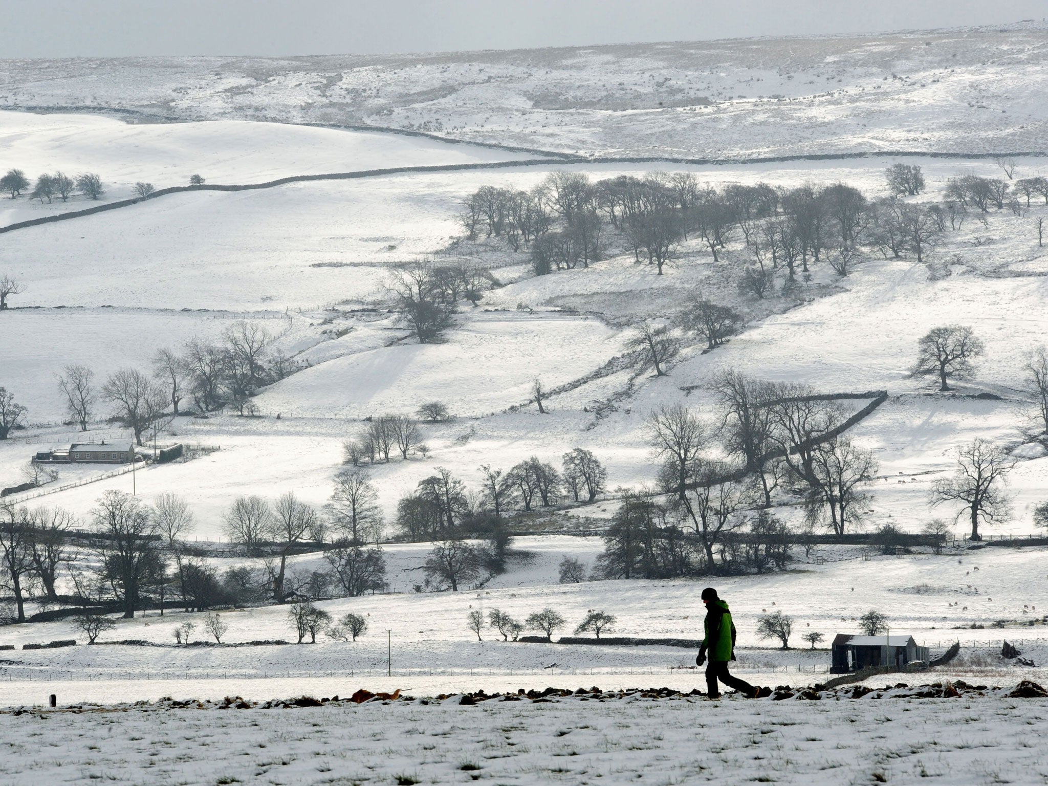 A walker takes a path along the gallops at Middleham, North Yorkshire