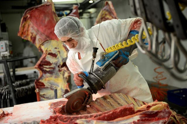 A worker cuts beef meat AT "DOLY-COM" abattoir, one of the two Romanian companies exporting horse meat to EU countries