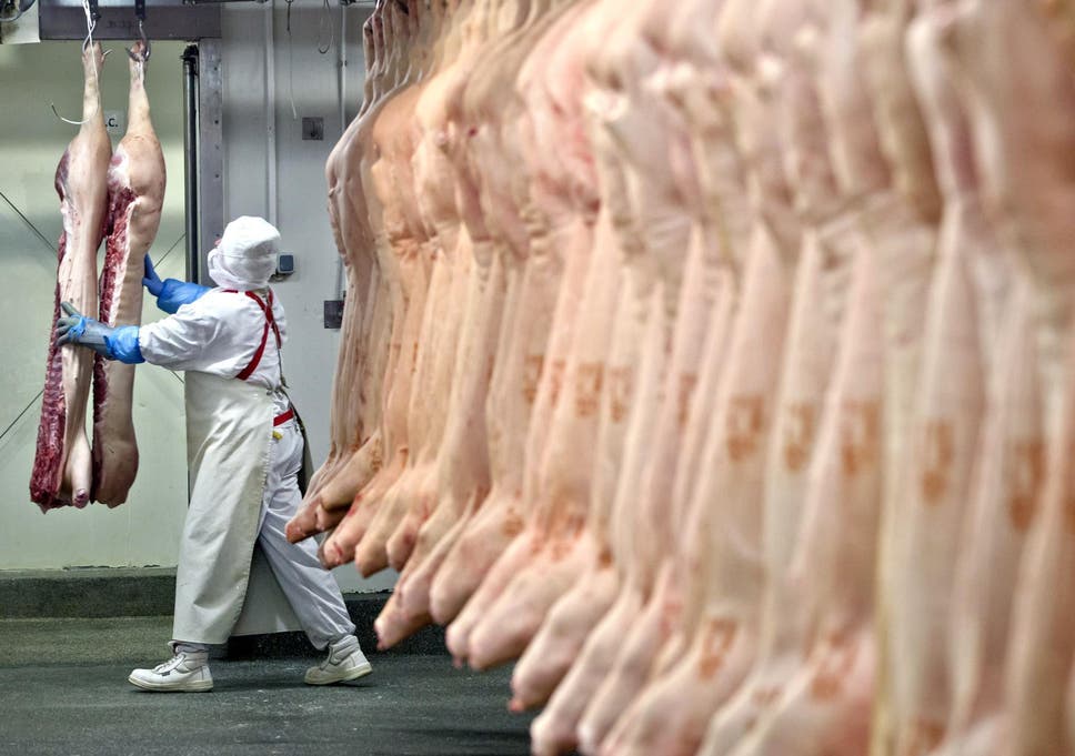 Image result for slaughterhouse"