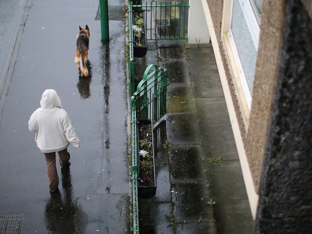 A dog walker on the Falinge Estate, surveyed in January 2013 as the most deprived area in England for a fifth year in a row, in Rochdale, England