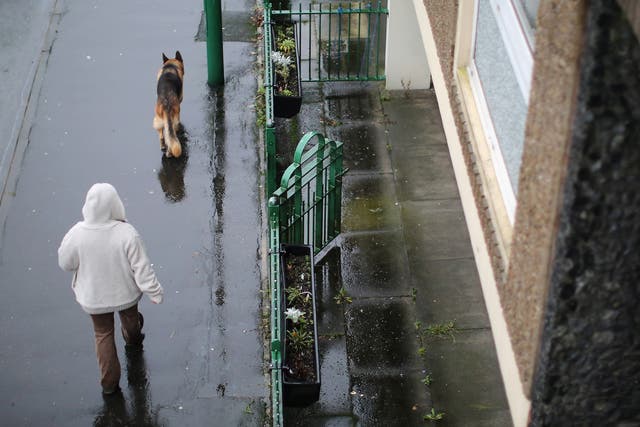 A dog walker on the Falinge Estate, surveyed in January 2013 as the most deprived area in England for a fifth year in a row, in Rochdale, England