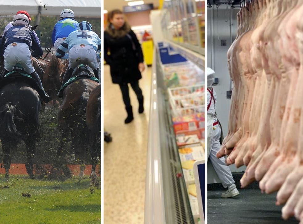 Officials at Aintree racecourse, home of the Grand National, have been forced to deny that fatally injured horses could have entered the food chain