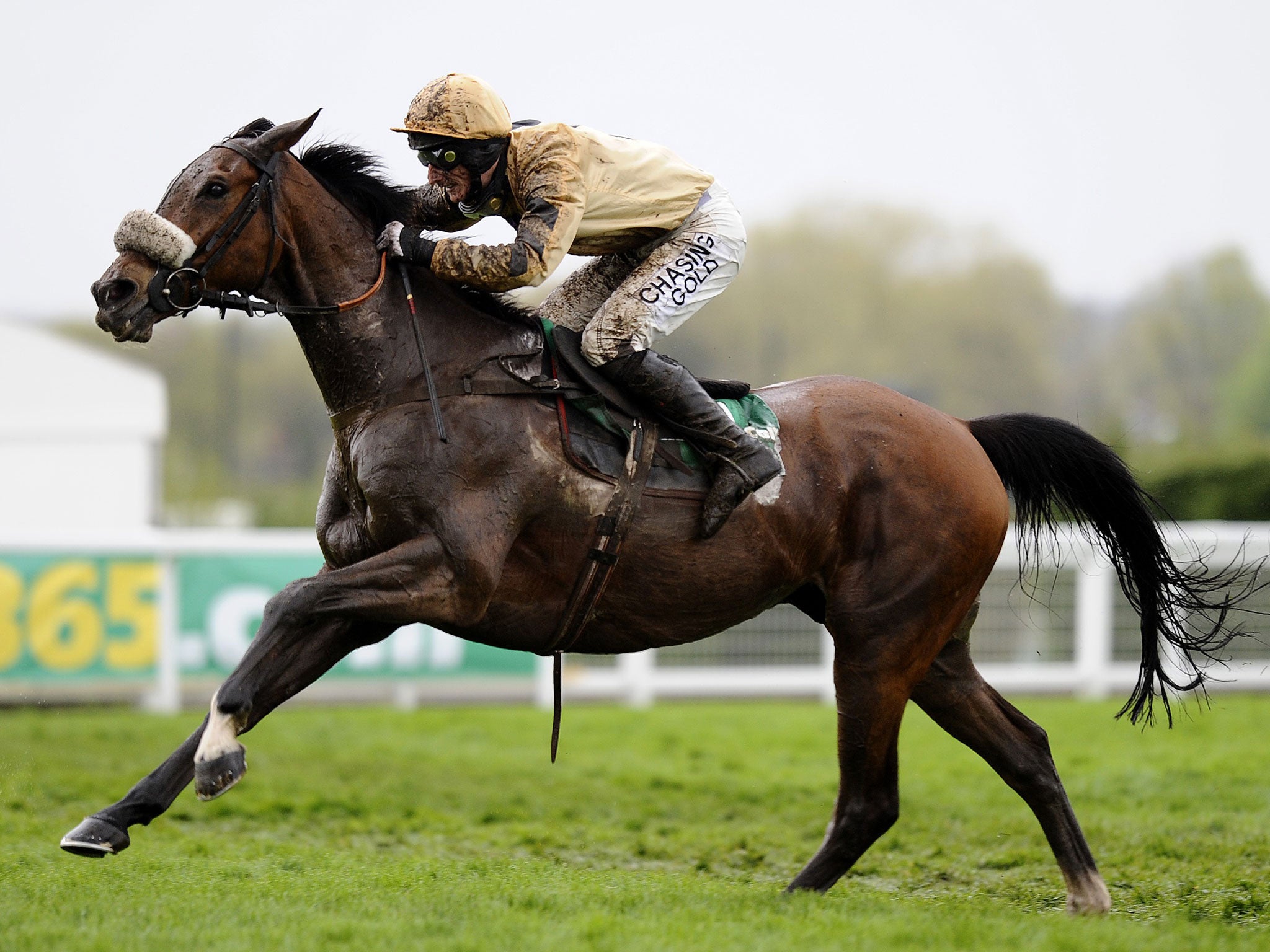 Tidal Bay was forced to pull out of the Grand National yesterday