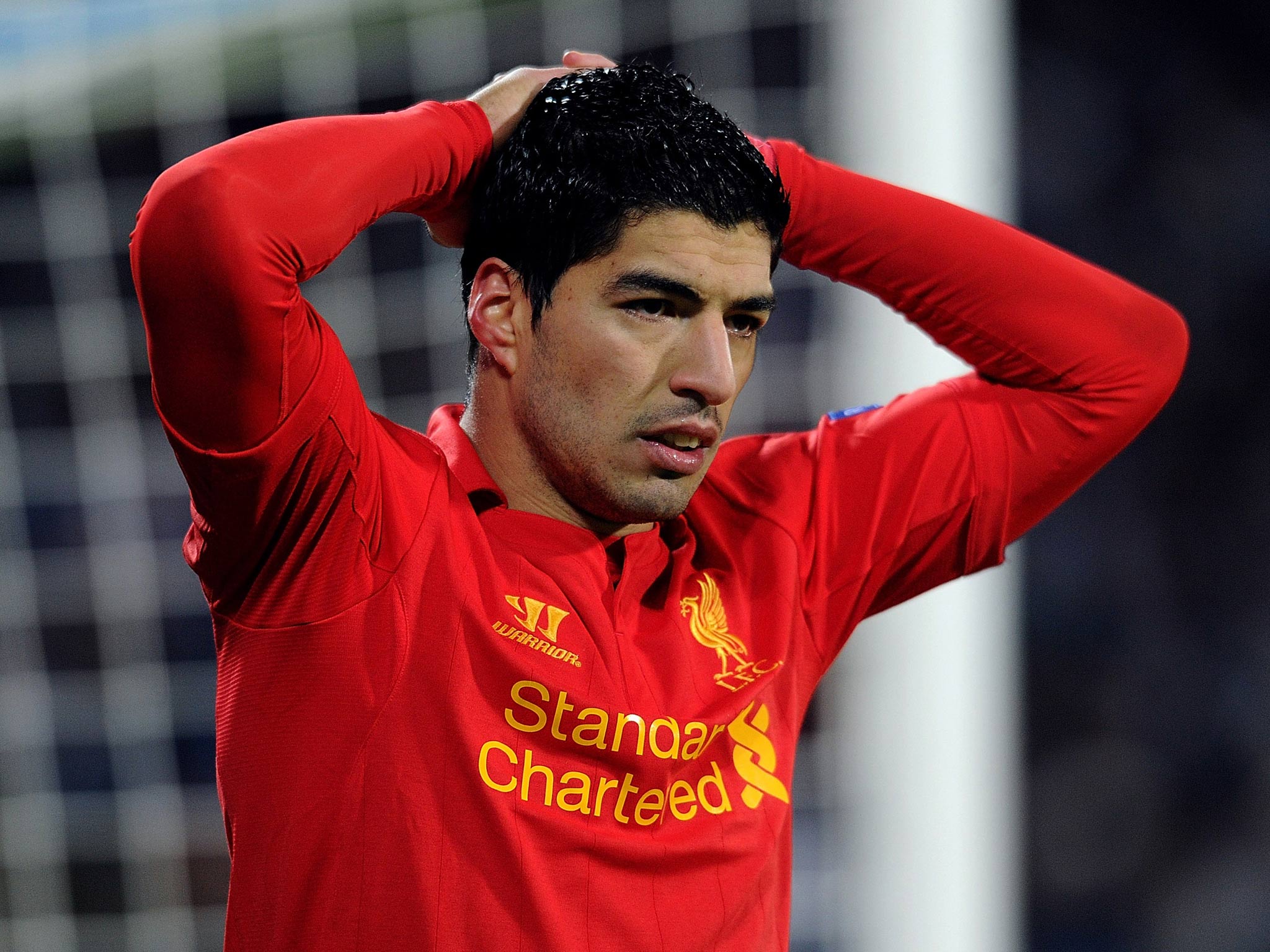 Liverpool striker Luis Suarez pictured during the first leg