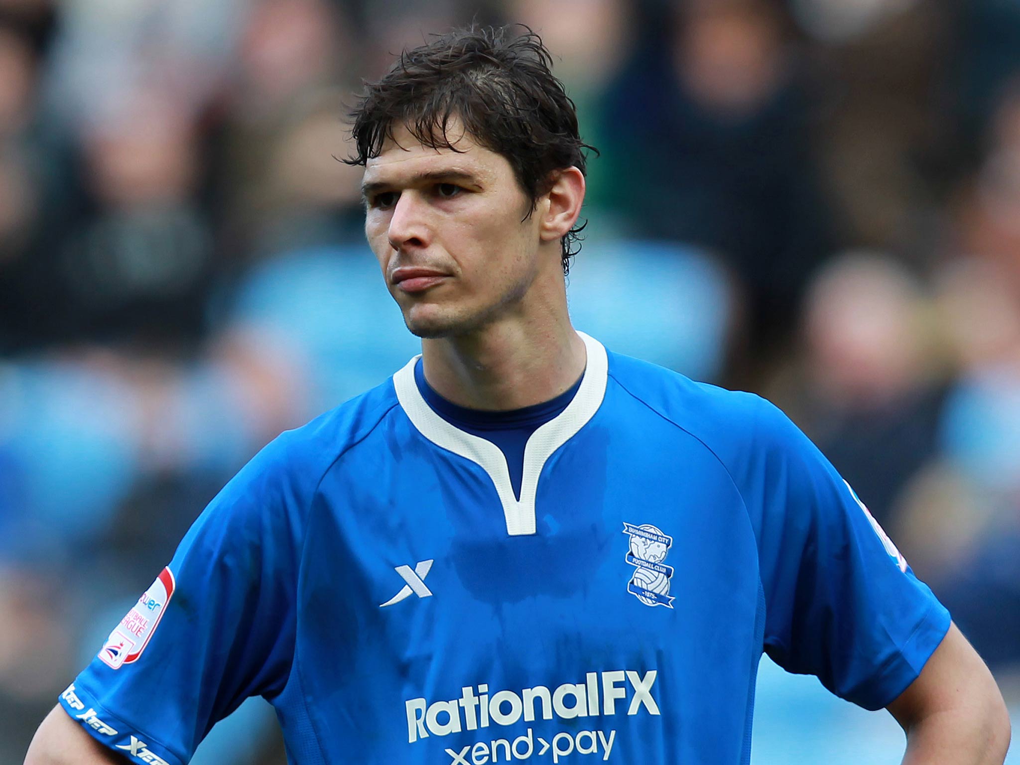 Nikola Zigic