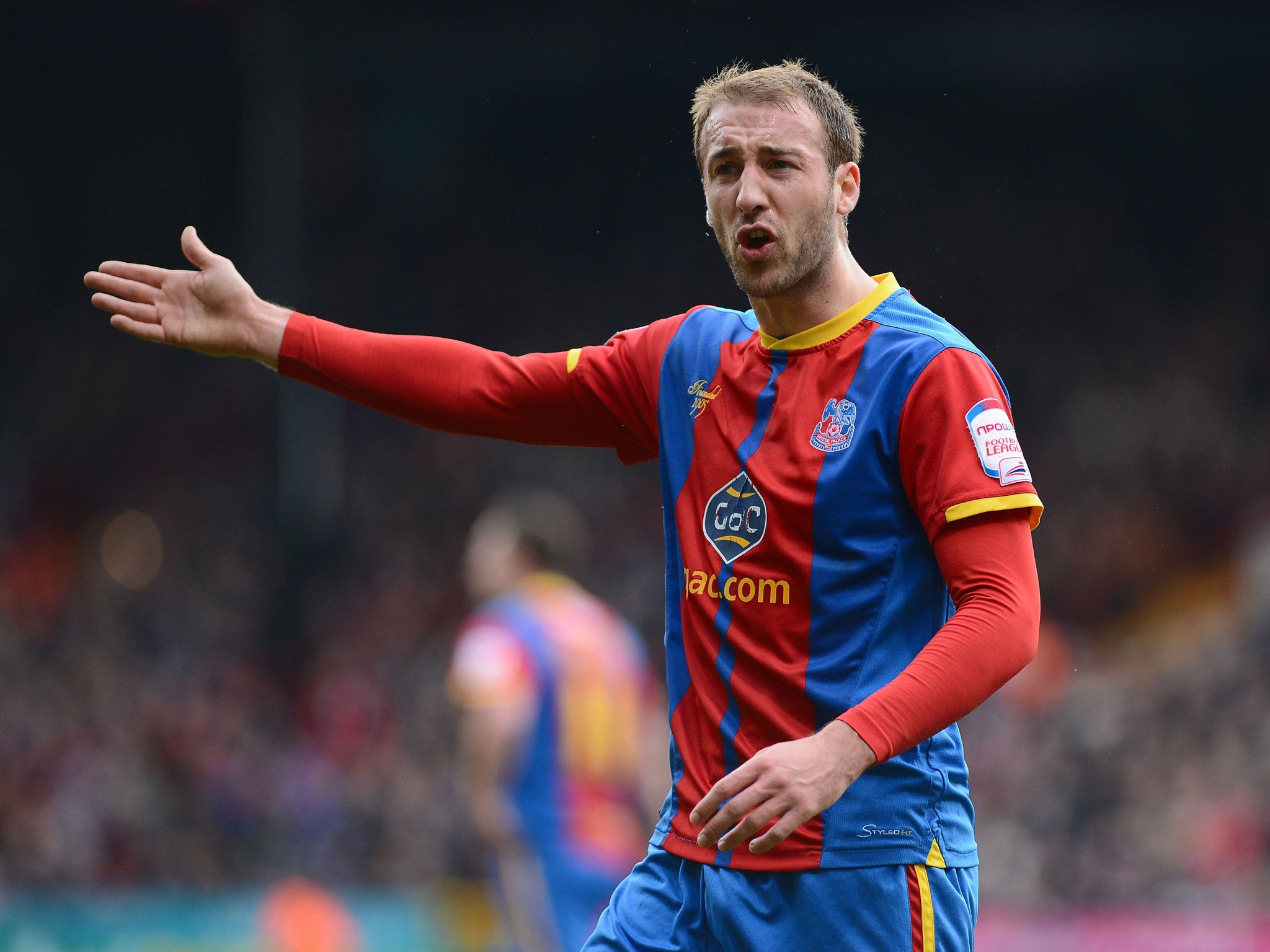 Glenn Murray of Crystal Palace remonstrates with the linesman