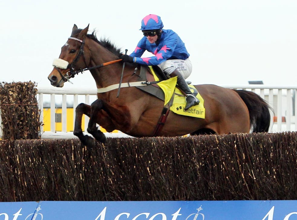 Bold move: Joe Tizzard has Cue Card bowling along in front to win the Grade One Ascot Chase after Captain Chris came to grief two fences from home