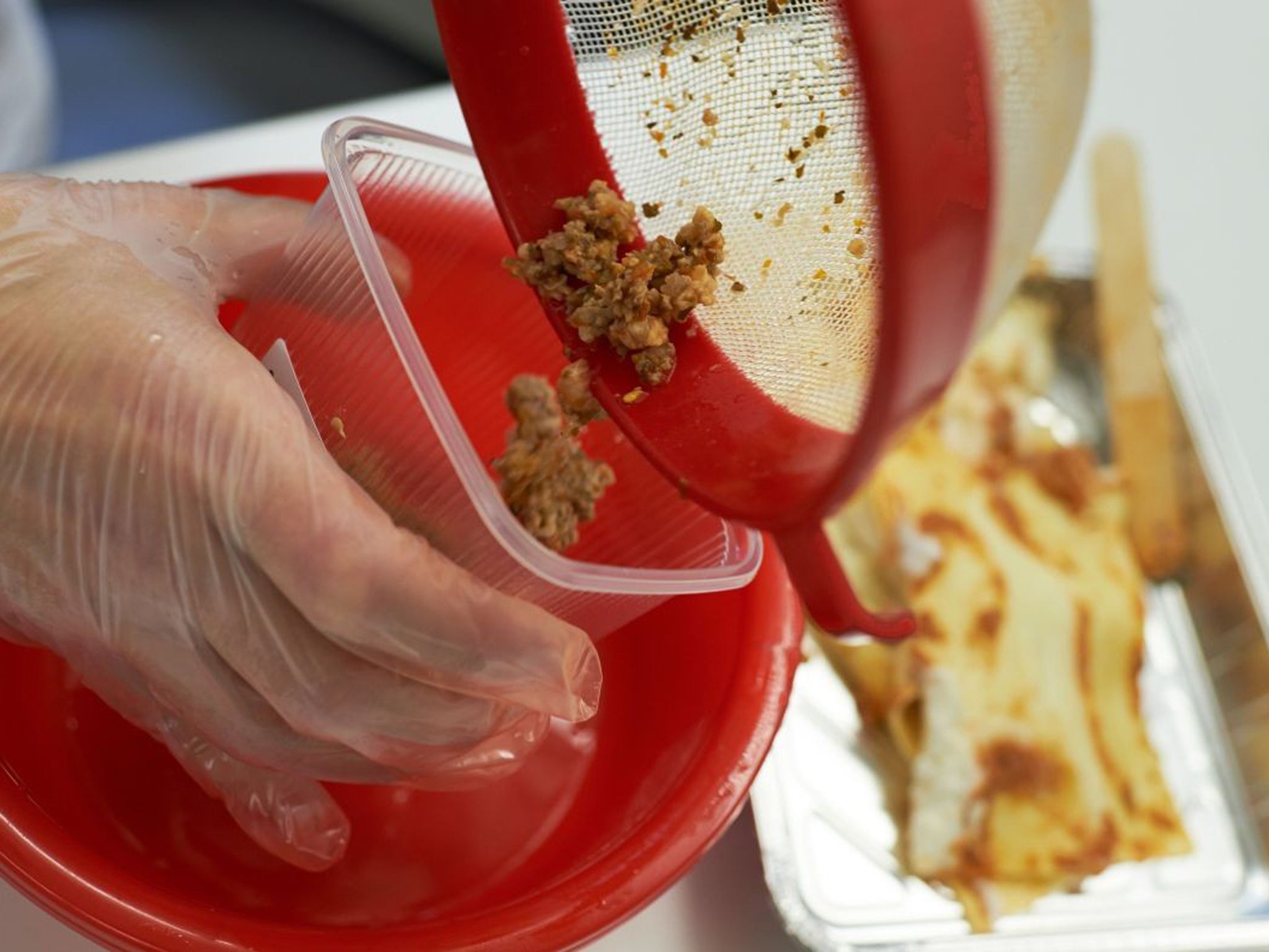 A laboratory assistant prepares a meat sample of lasagna for a DNA test