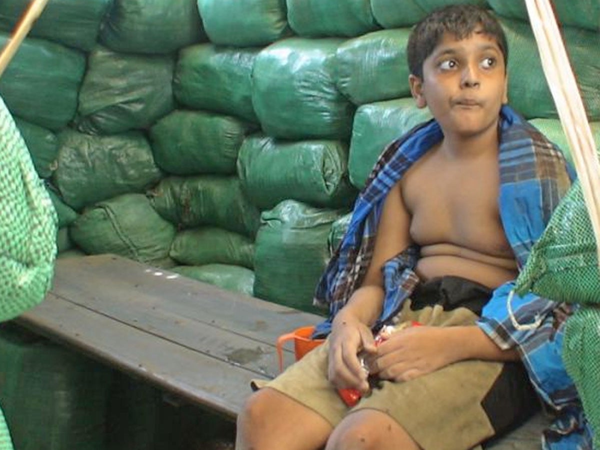 Handed A Snack And Then Executed The Last Hours Of The 12 Year Old Son Of A Tamil Tiger The Independent The Independent Tamil eelam revolutionary song make your heart melts tamilnet.com. tamil tiger