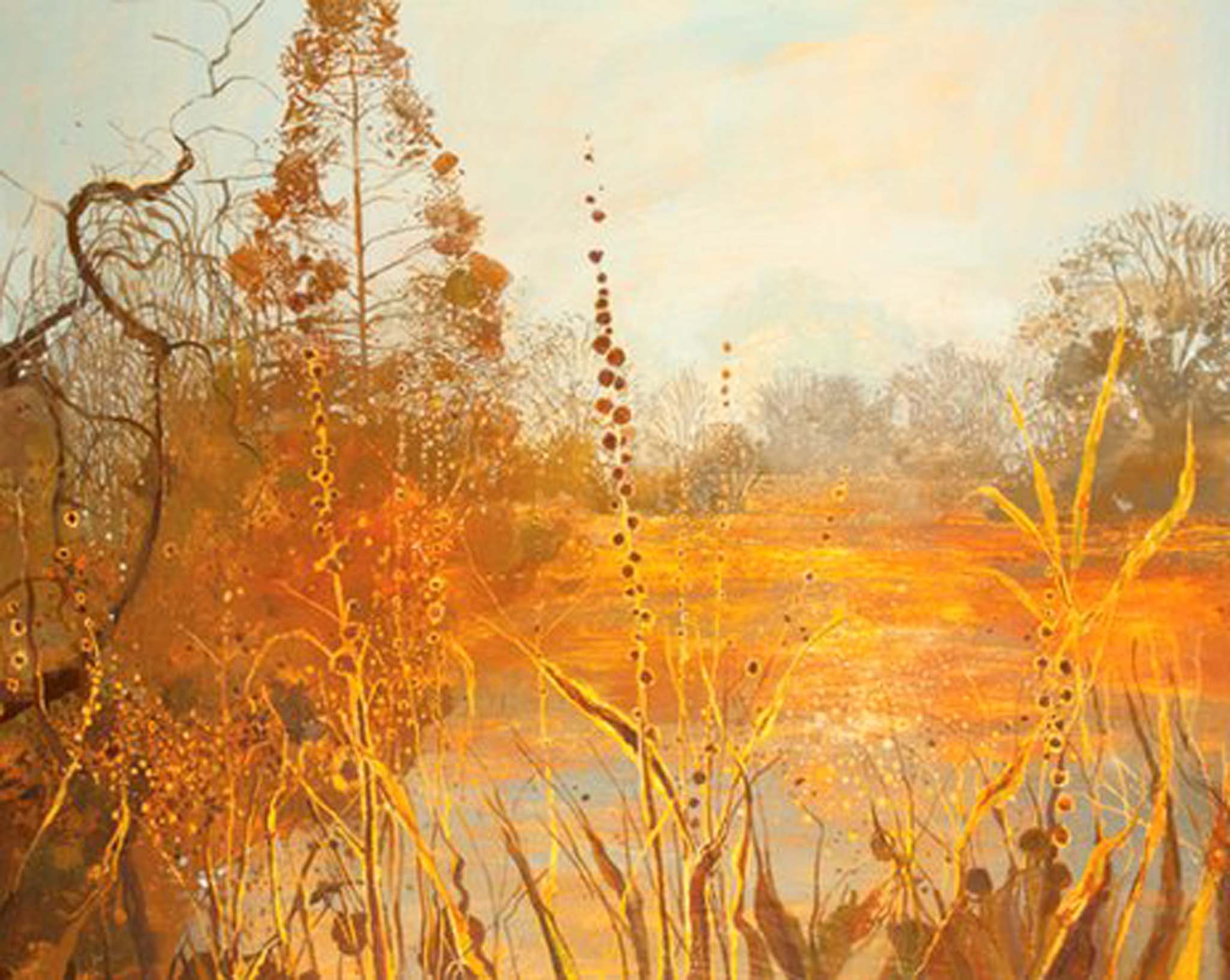 Ruth Stage's The Isabella Plantation, winner of the Lynn Painter-Stainers prize 2013