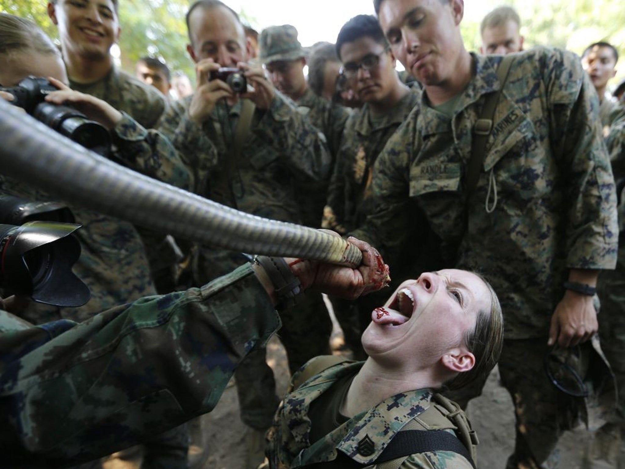 A US Marine drinks cobra blood offered by a Thai navy instructor during a demonstration on how to kill cobras