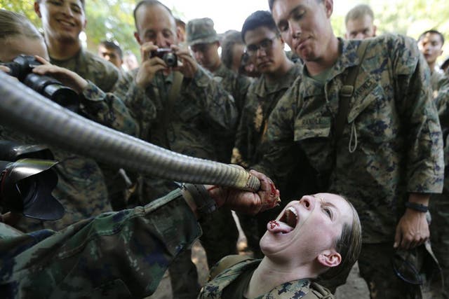 A US Marine drinks cobra blood offered by a Thai navy instructor during a demonstration on how to kill cobras